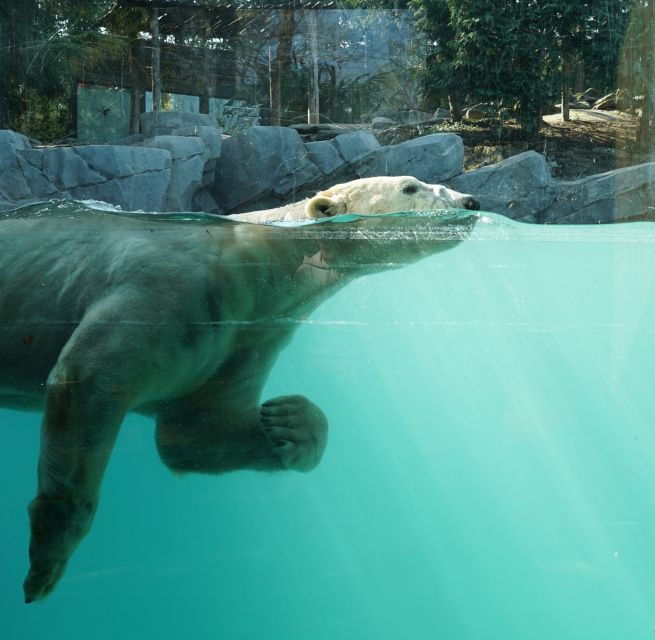 amneville-zoo-full-day-admission-ticket