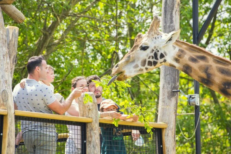 amneville-zoo-full-day-admission-ticket