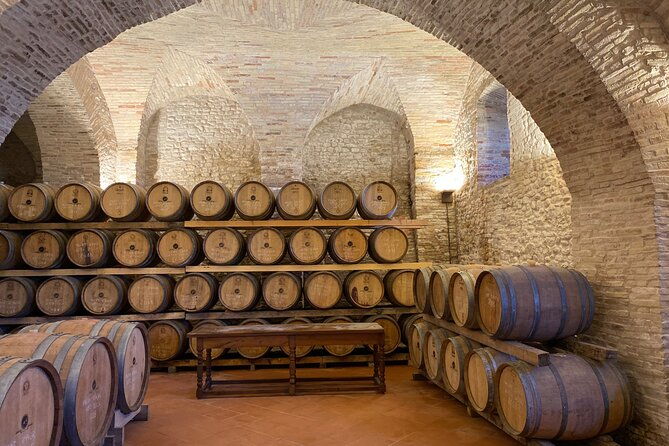 among-ancient-sunny-vineyards-visit-and-taste-the-wines-from-the-san-lorenzo-cellar