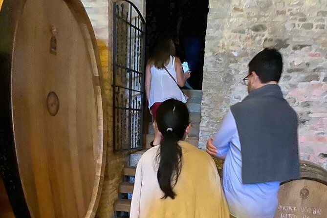 among-ancient-sunny-vineyards-visit-and-taste-the-wines-from-the-san-lorenzo-cellar