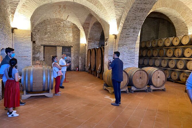 among-ancient-sunny-vineyards-visit-and-taste-the-wines-from-the-san-lorenzo-cellar