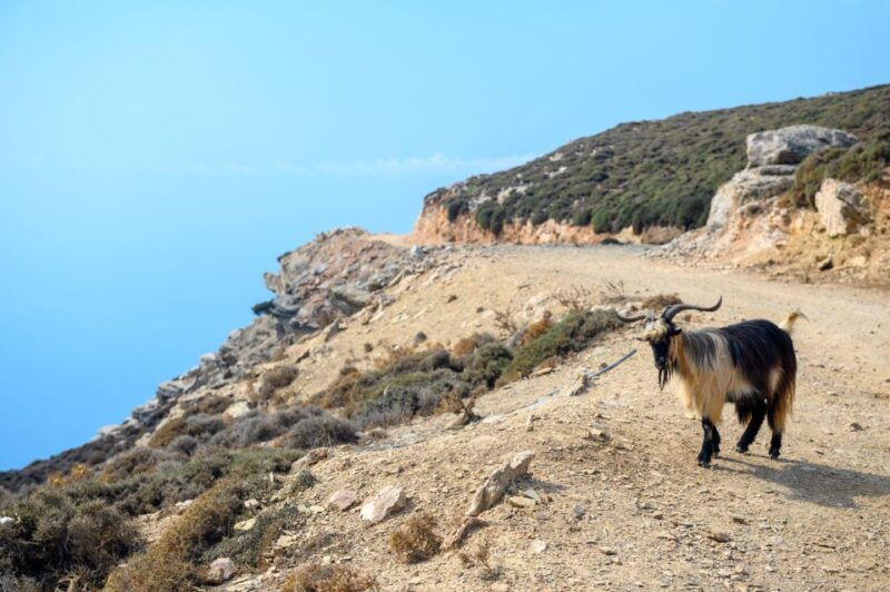 amorgos-guided-hike-of-the-panagia-hozoviotissa-monastery