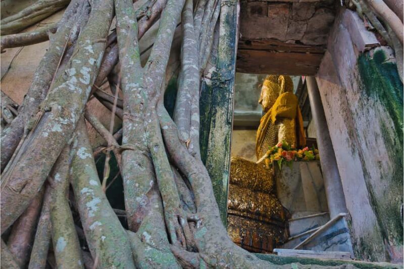 Amphawa & Railway Market & Boat Ride: from BKK - Who Should Consider This Tour?