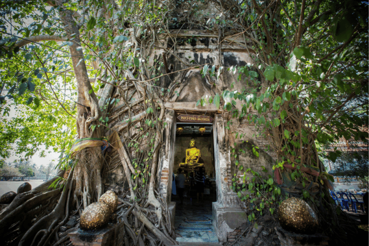 amphawa-railway-markets-firefly-boat-ride-from-bkk