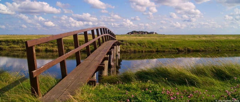 Amrum: Day trip by boat to Hallig Hooge - The Journey Begins: From Amrum to Hallig Hooge