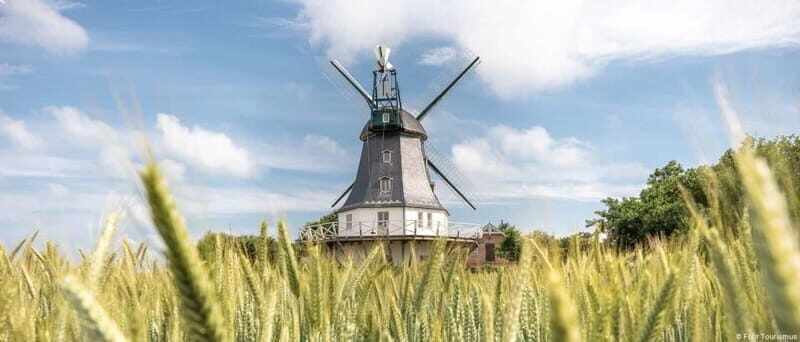 Amrum: Daytrip by boat to Föhr - Exploring the Amrum: Daytrip by Boat to Föhr