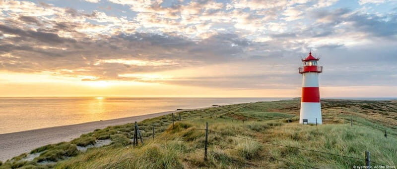 Amrum: Daytrip by boat to Sylt - Additional Insights from Reviews
