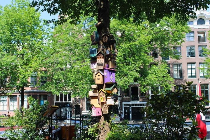 Amsterdam: 1,5-hour Interactive Kids Tour in the City - FAQs