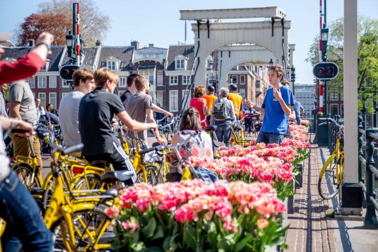 amsterdam-2-hour-city-highlights-guided-bike-tour
