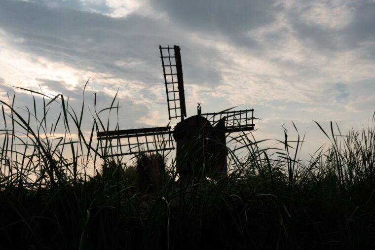 amsterdam-2-hour-guided-canoe-trip