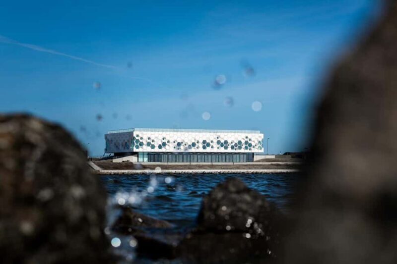 Amsterdam: Afsluitdijk & Wadden Center Museum Private Tour - What’s Included and What’s Not