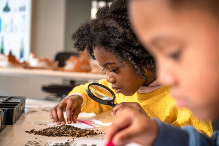 amsterdam-allard-pierson-heritage-collections-entry-ticket