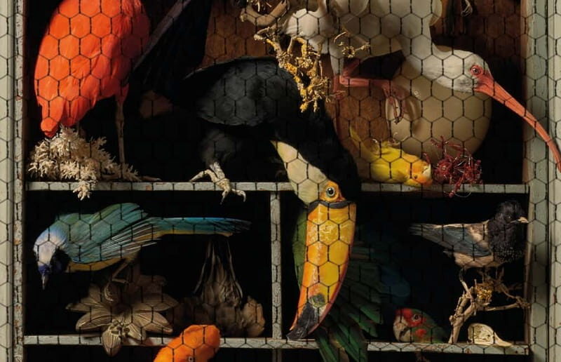 Amsterdam: Art Zoo Museum Entry Ticket & Audio Tour - The Experience: What You Can Expect