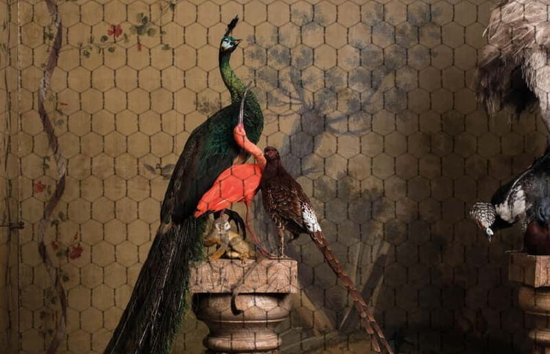 Amsterdam: Art Zoo Museum Entry Ticket & Audio Tour - Frequently Asked Questions