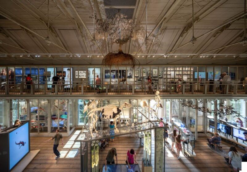 amsterdam-artis-groote-museum-entry-ticket