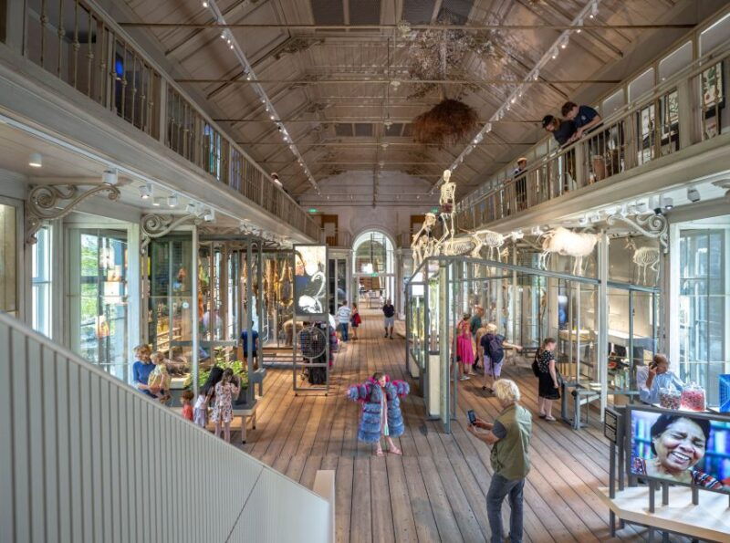 amsterdam-artis-groote-museum-entry-ticket