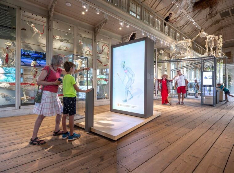 amsterdam-artis-groote-museum-entry-ticket