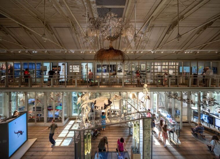 amsterdam-artis-royal-zoo-and-artis-groote-museum-ticket