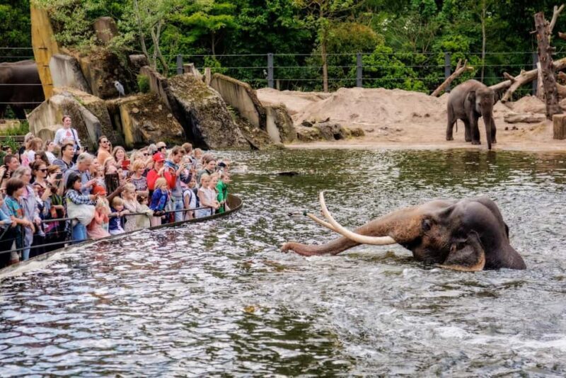 Amsterdam: ARTIS Royal Zoo Ticket with Animals on the Canal - Hidden Gems and Practical Tips