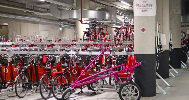 amsterdam-bike-tour-noord-in-german-or-english