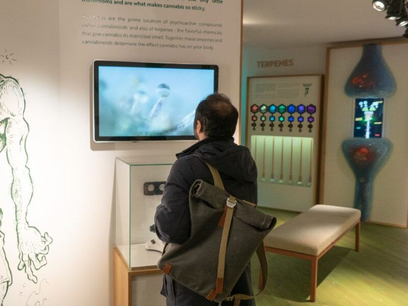 amsterdam-cannabis-museum-entry-ticket