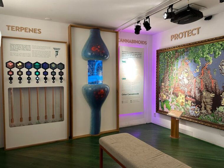 amsterdam-cannabis-museum-entry-ticket