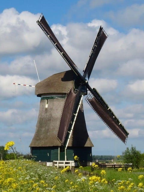 amsterdam-cheese-clogs-flowers-and-windmills-tour