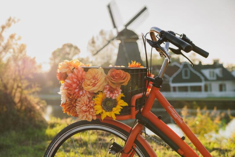 amsterdam-cheese-windmill-countryside-bike-tour