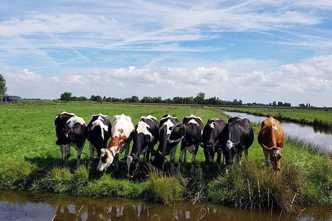 amsterdam-city-countryside-tour-the-best-of-both-worlds