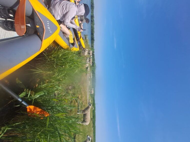 amsterdam-countryside-bike-and-kayak-guided-tour