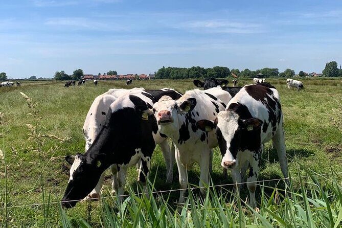 Amsterdam Countryside Bike and Kayak Tour - Final Thoughts