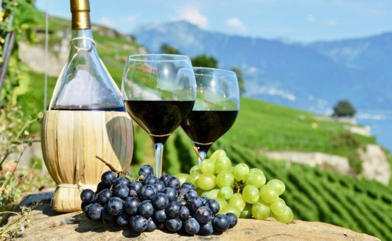 amsterdam-dutch-wine-tasting-experience