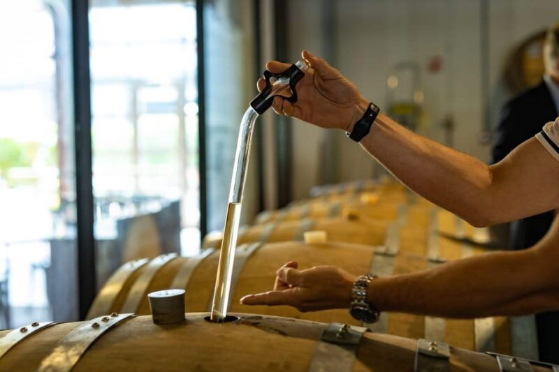 amsterdam-europes-largest-urban-winery-tour-and-tasting