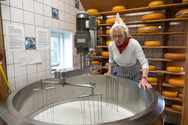 amsterdam-explore-zaanse-schans-half-day-luxury-coach-trip