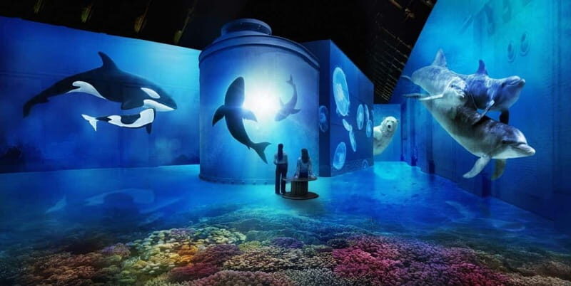 Amsterdam: Fabrique des Lumières The Sea Entry Ticket - The Experience: A Deep Dive into The Sea