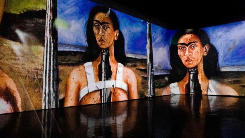 Amsterdam: Frida Kahlo Immersive & Photo Exhibition - Key Points
