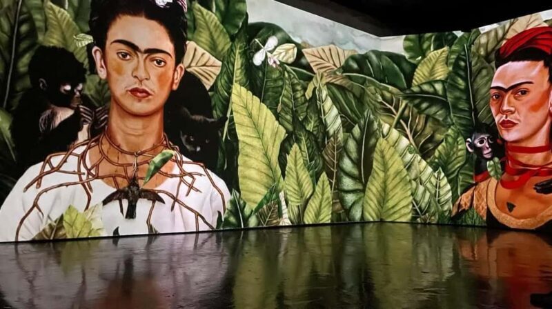 Amsterdam: Frida Kahlo Immersive & Photo Exhibition - The Experience Itself: A Closer Look