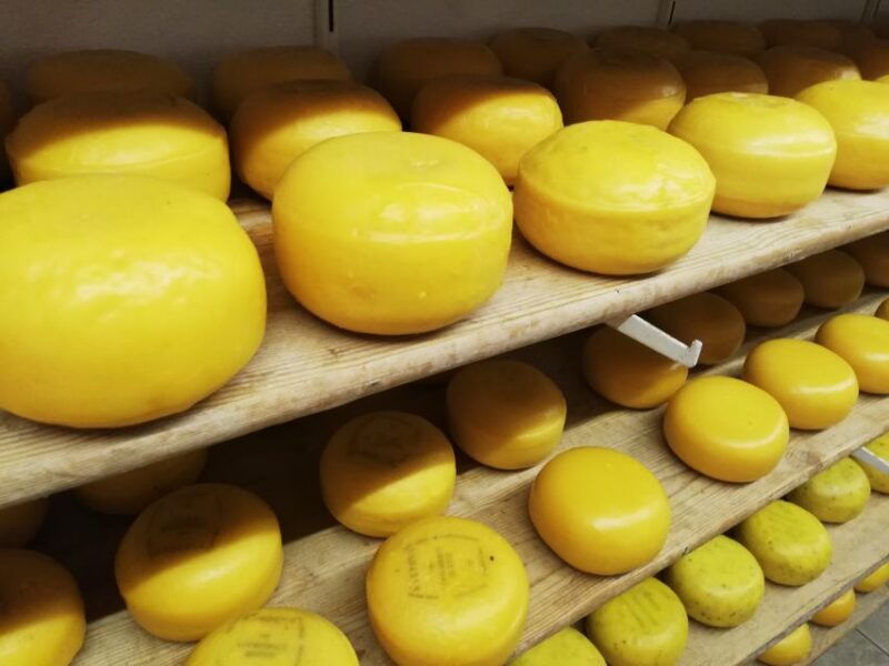 amsterdam-full-day-countryside-tour