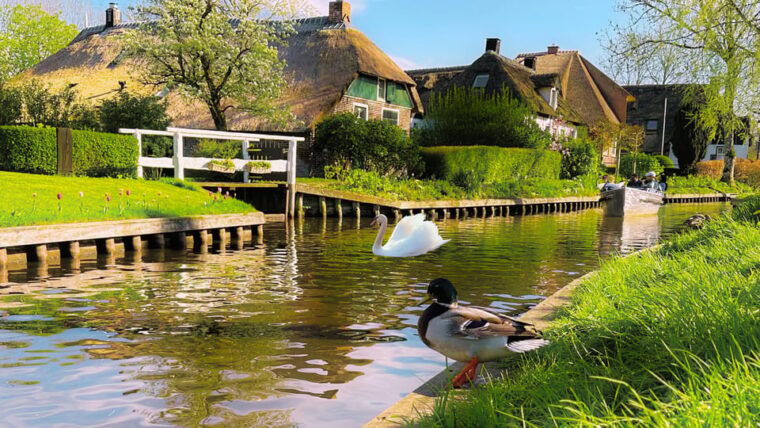 amsterdam-giethoorn-zaanse-schans-daytour-with-small-group