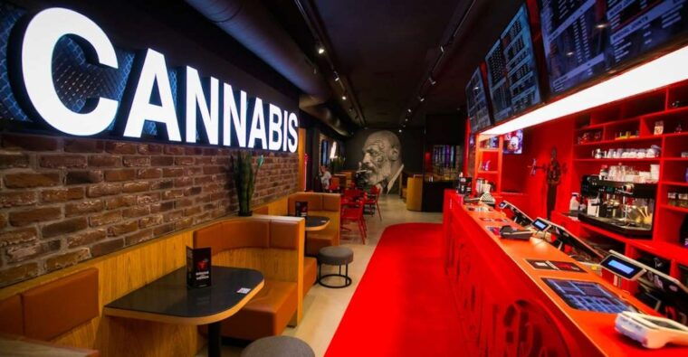 amsterdam-guided-ganja-walking-tour-of-coffee-shops