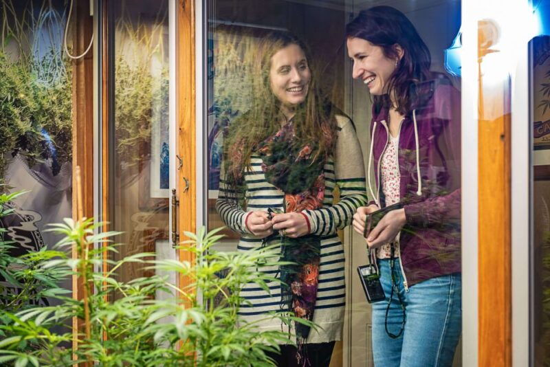 amsterdam-hash-marihuana-and-hemp-museum-entry-ticket