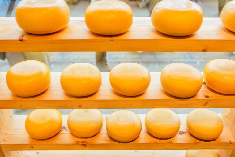 amsterdam-henri-willig-cheese-tasting-experience