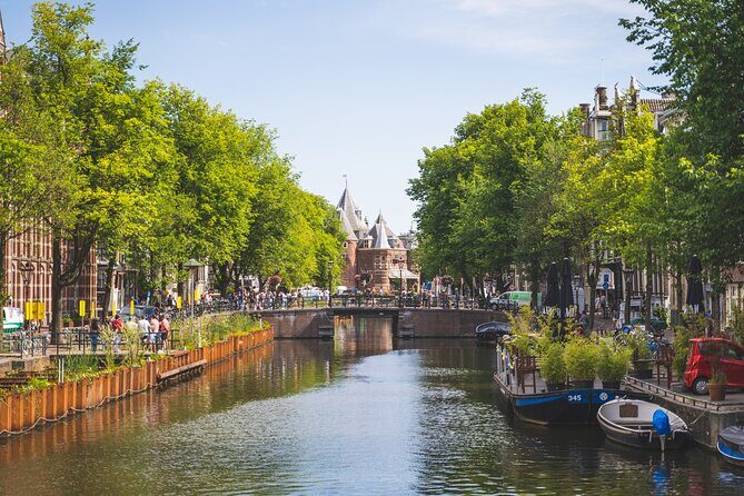 Amsterdam Highlights Small-Group Walking Tour - The Practical Side: Duration, Group Size, Cost