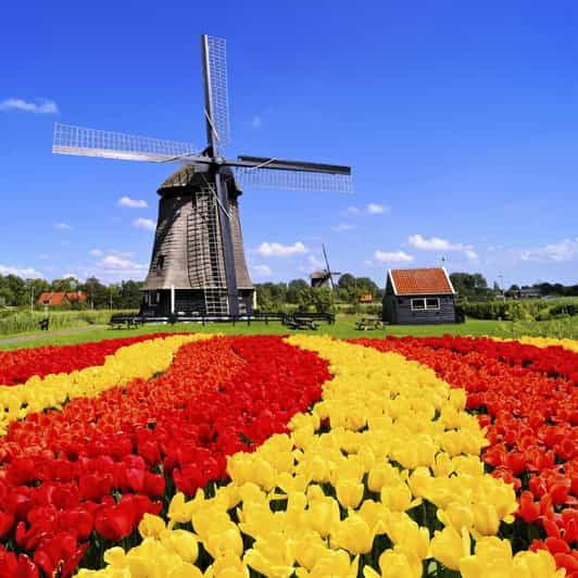 amsterdam-keukenhof-and-tulip-fields-private-day-trip