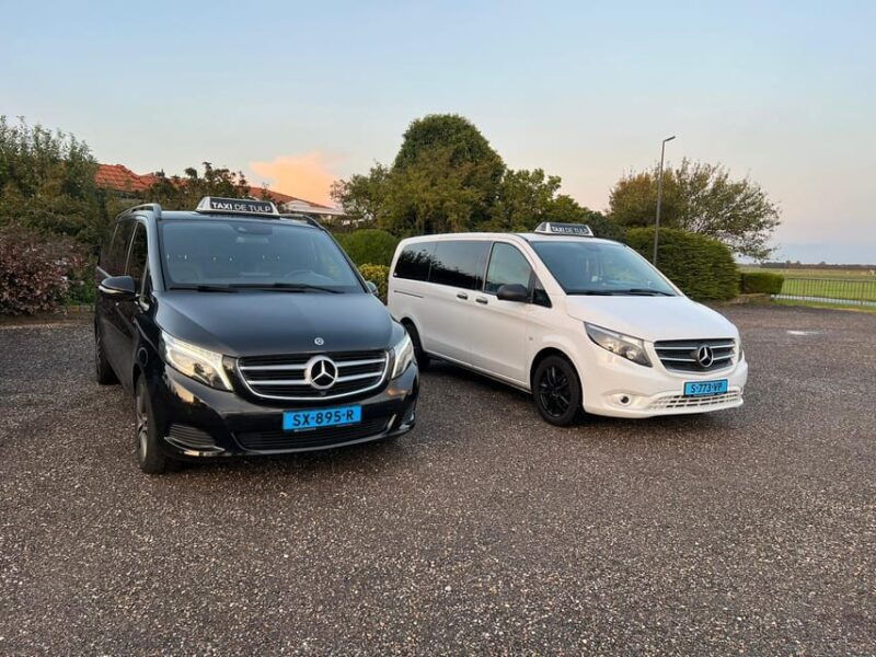 amsterdam-keukenhof-and-tulip-fields-private-day-trip