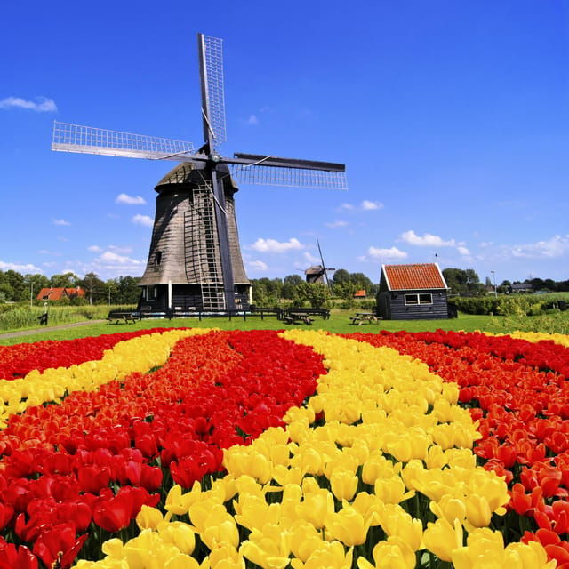 amsterdam-keukenhof-and-tulip-fields-private-day-trip