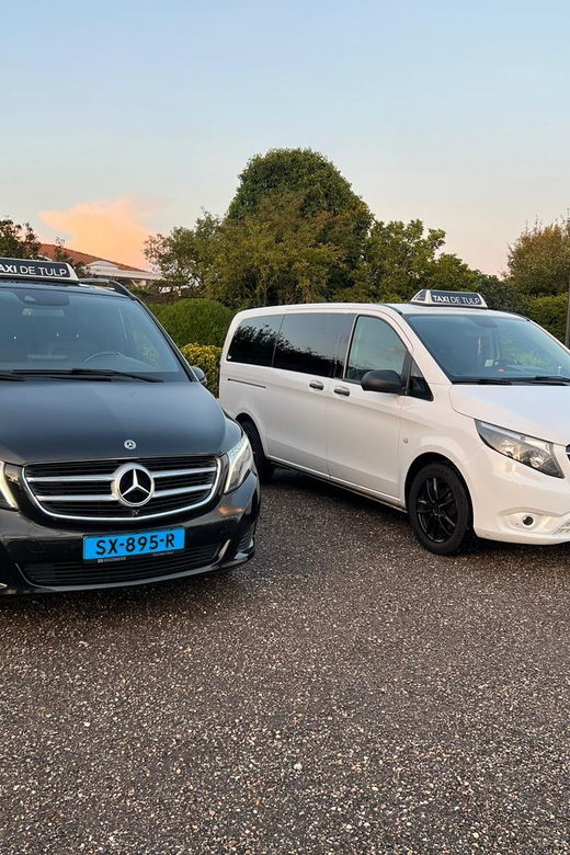 amsterdam-keukenhof-and-tulip-fields-private-day-trip