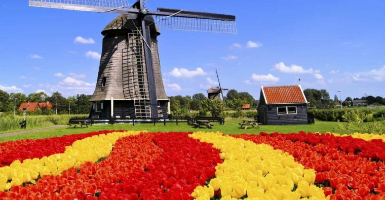 amsterdam-keukenhof-and-tulip-fields-private-day-trip