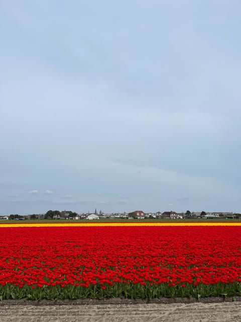 amsterdam-keukenhof-and-tulip-fields-private-day-trip