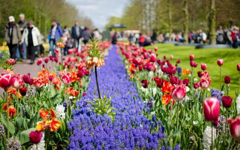 amsterdam-keukenhof-and-zaanse-schans-windmills-day-trip